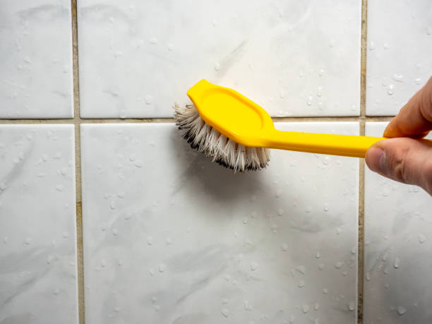 Best Mold Remediation  in Endwell, NY