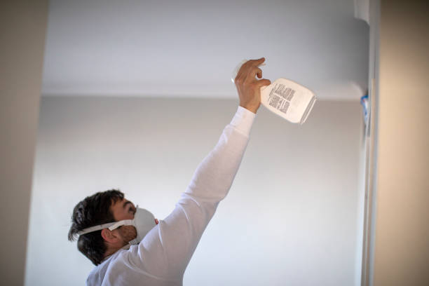 Best Crawl Space Mold Removal  in Endwell, NY