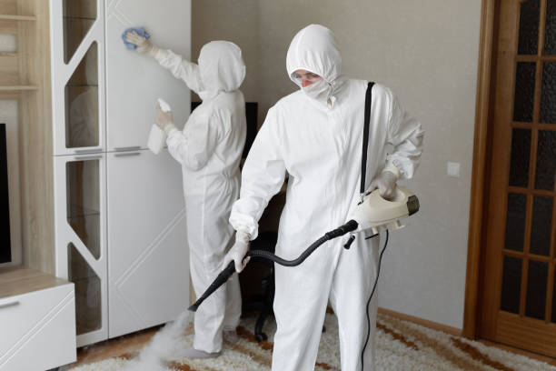 Best Mold Removal Process  in Endwell, NY