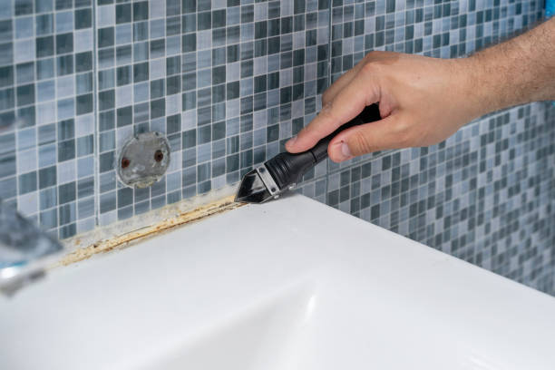 Best Emergency Mold Removal  in Endwell, NY