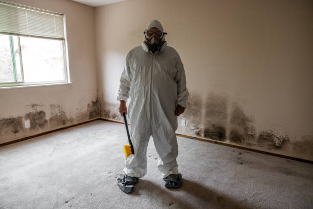 Best Toxic Mold Removal  in Endwell, NY